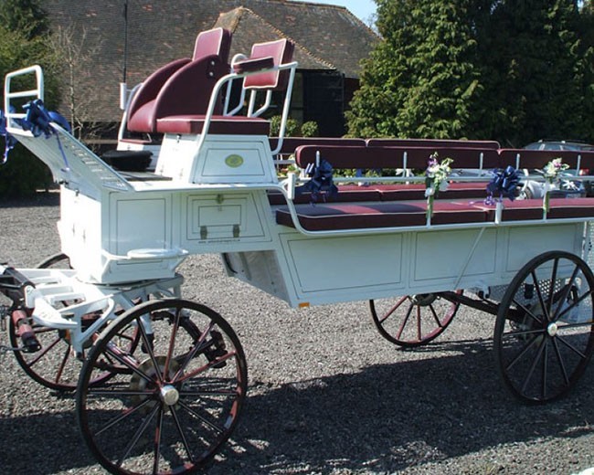 Novelty Vehicle Hire image 23