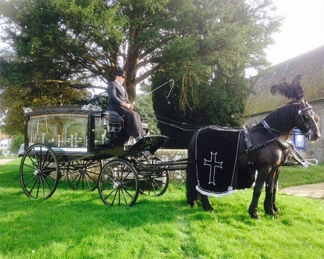 Novelty Vehicle Hire image 23