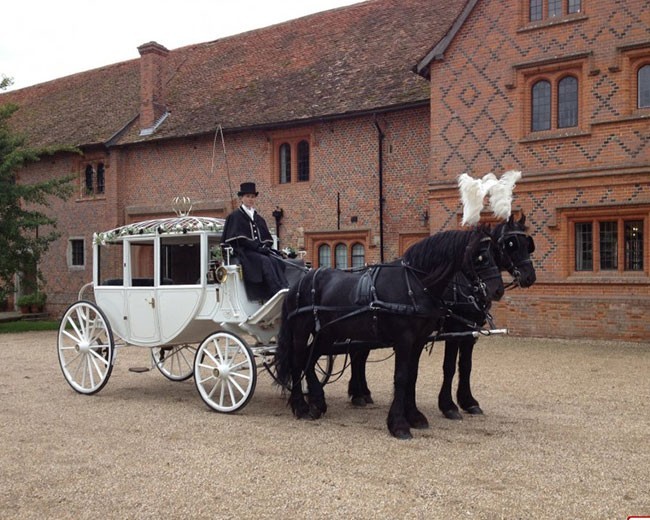 Novelty Vehicle Hire image 23