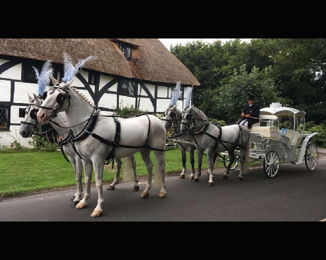 Novelty Vehicle Hire image 23